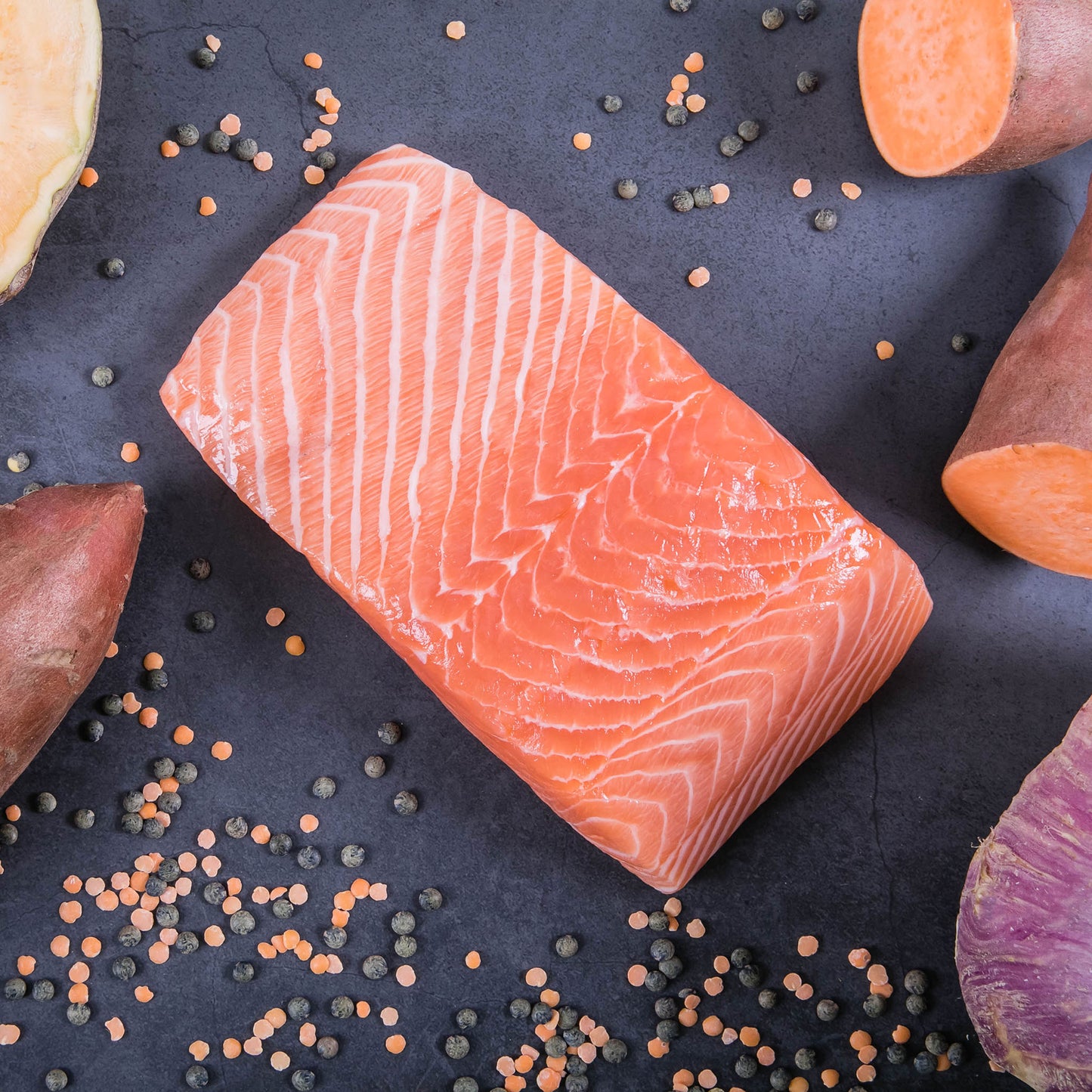Bob & Lush Light & Tasty Grain-Free Adult Dry Dog Food-Salmon in Olive Oil