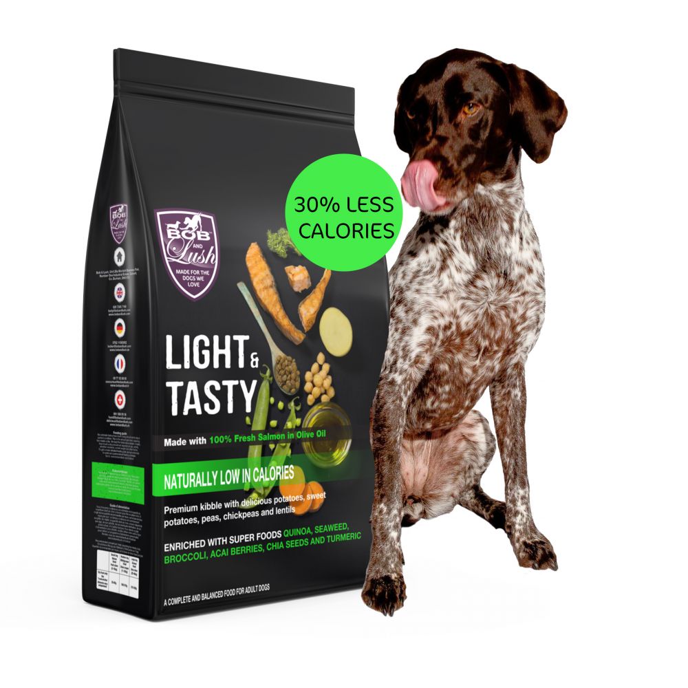 Bob & Lush Light & Tasty Grain-Free Adult Dry Dog Food-Salmon in Olive Oil
