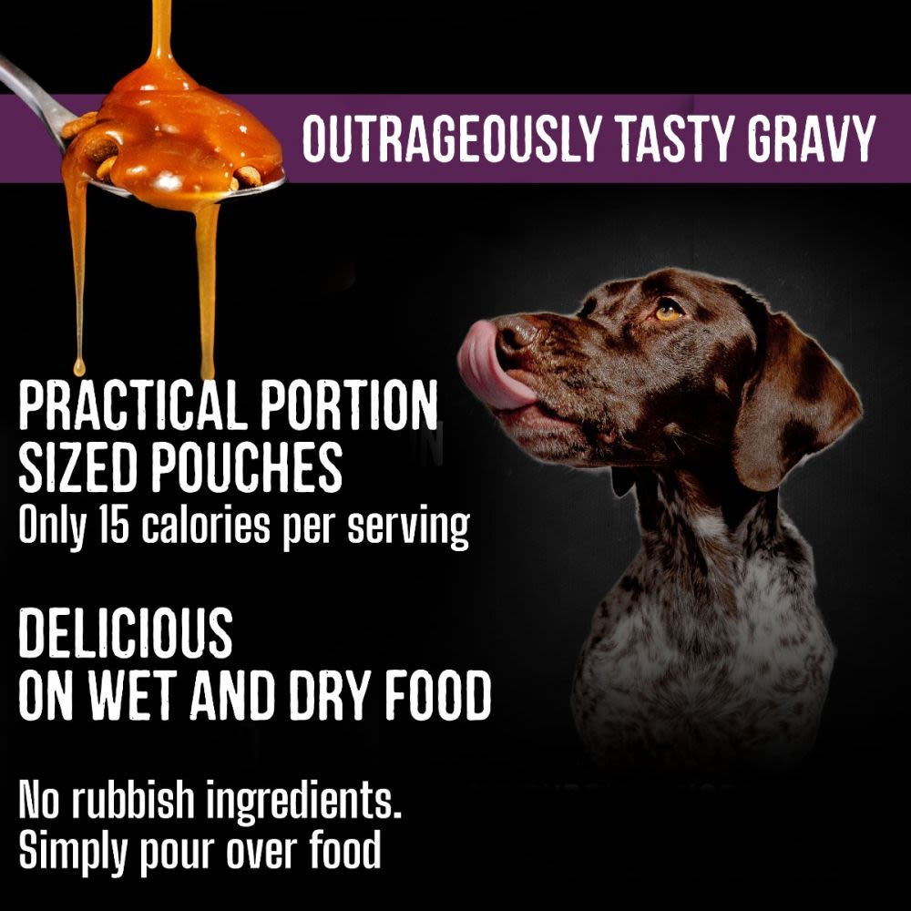 Bob & Lush Gravy Wet Dog Food in Pouches